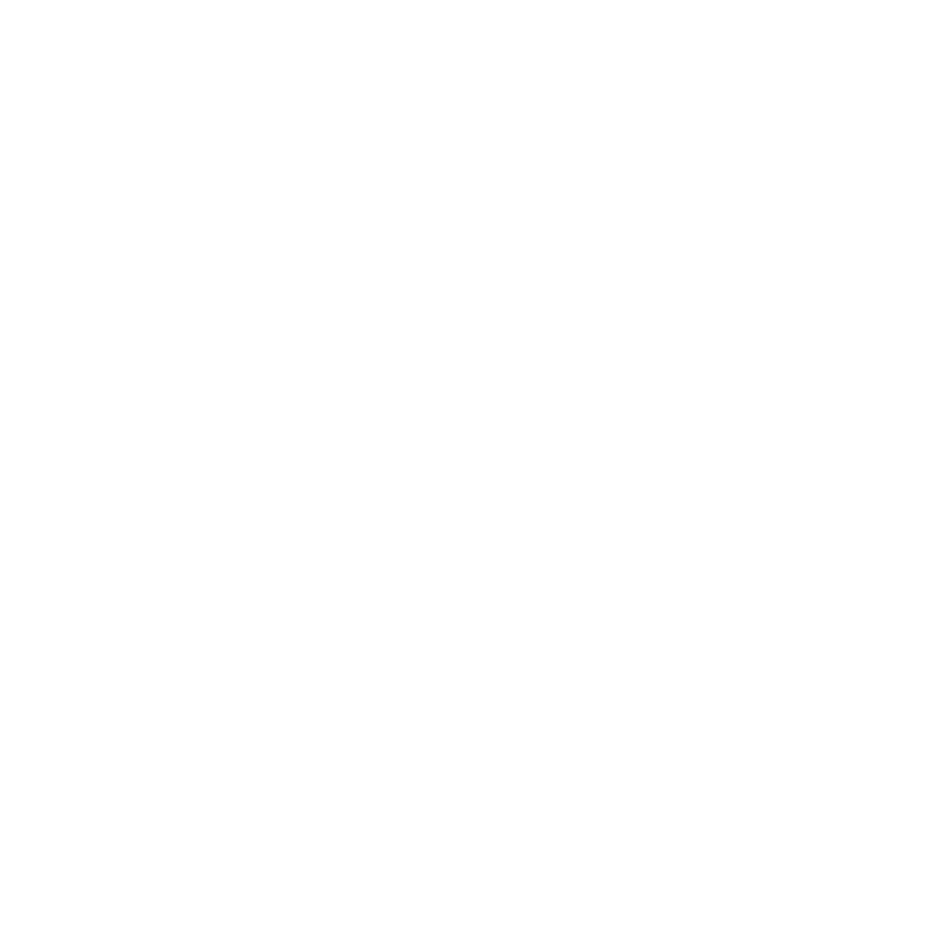 Sentinel Vinyl