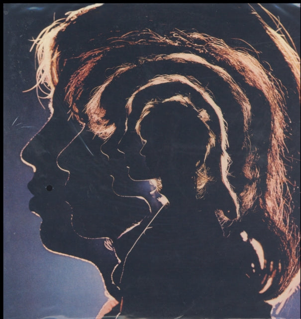 Rolling Stones Hot Rocks 1964 - 1971 Vinyl Record LP