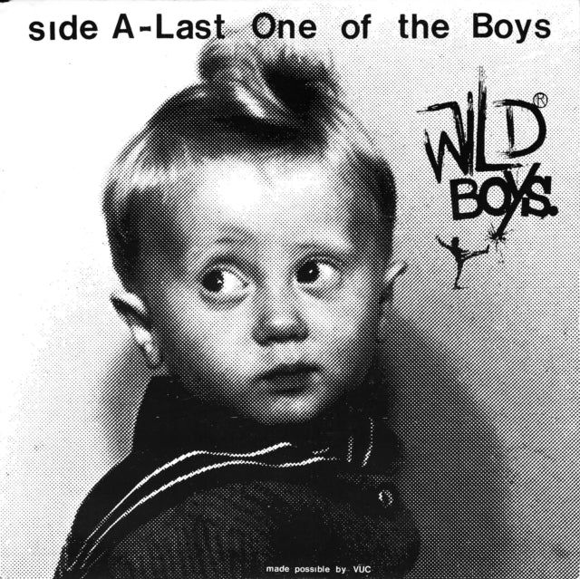 Wild Boys 'Wild Boys - Last One Of The Boys B/W We'Re Only Monsters' Vinyl Record LP - Sentinel Vinyl