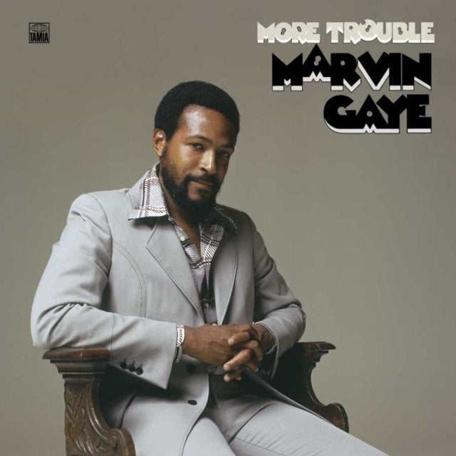 Gaye,Marvin More Trouble Vinyl Record LP