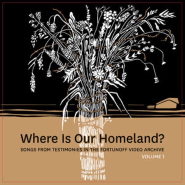Slepovitch, Zisl & Sasha Lurje 'Where Is Our Homeland? Songs From Testimonies In The Fortunoff Vi' Vinyl Record LP - Sentinel Vinyl