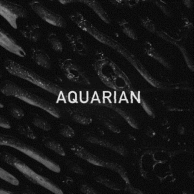Aquarian 'Aquarian' Vinyl Record LP