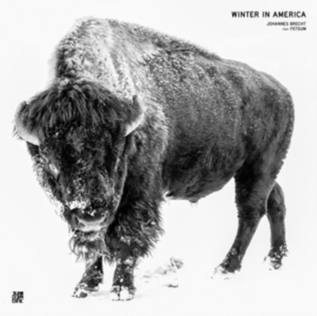 Brecht Feat. Fetsum,  Johannes 'Winter In America' Vinyl Record LP - Sentinel Vinyl