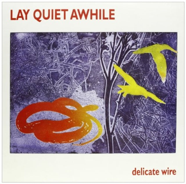 Unknown 'Delicate Wire' Vinyl Record LP - Sentinel Vinyl