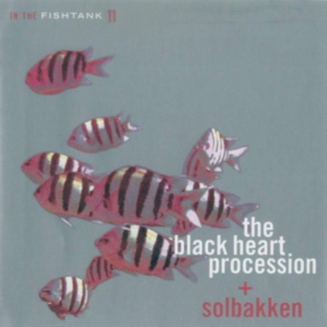 Black Heart Procession; Solbakken 'In The Fishtank 11' Vinyl Record LP - Sentinel Vinyl