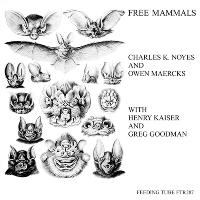 K. Noyes, Charles & Owen Maercks With Henry Kaiser & Greg Goodman 'Free Mammals' Vinyl Record LP - Sentinel Vinyl