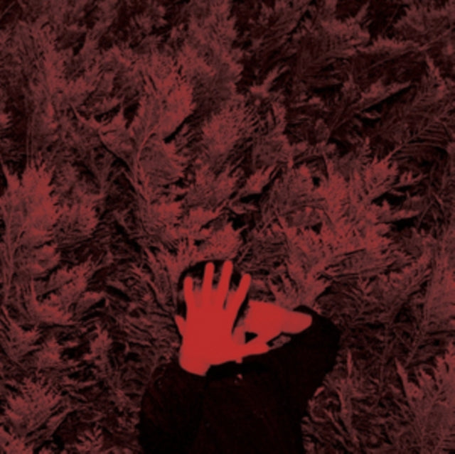 Hanson, Cory 'Unborn Capitalist From Limbo' Vinyl Record LP