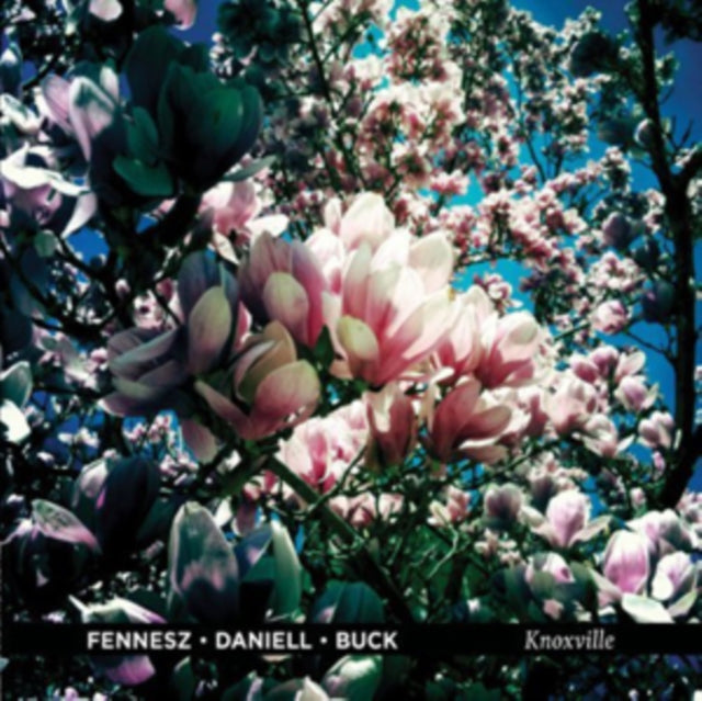 Fennesz / Daniell / Buck 'Knoxville' Vinyl Record LP
