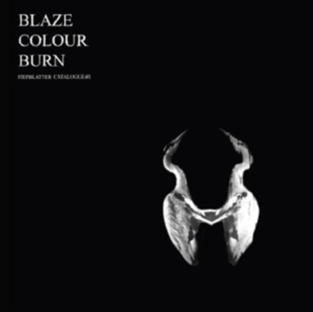 St. Werner, Jan 'Blaze Colour Burn (Fiepblatter Catalogue No.1)' Vinyl Record LP