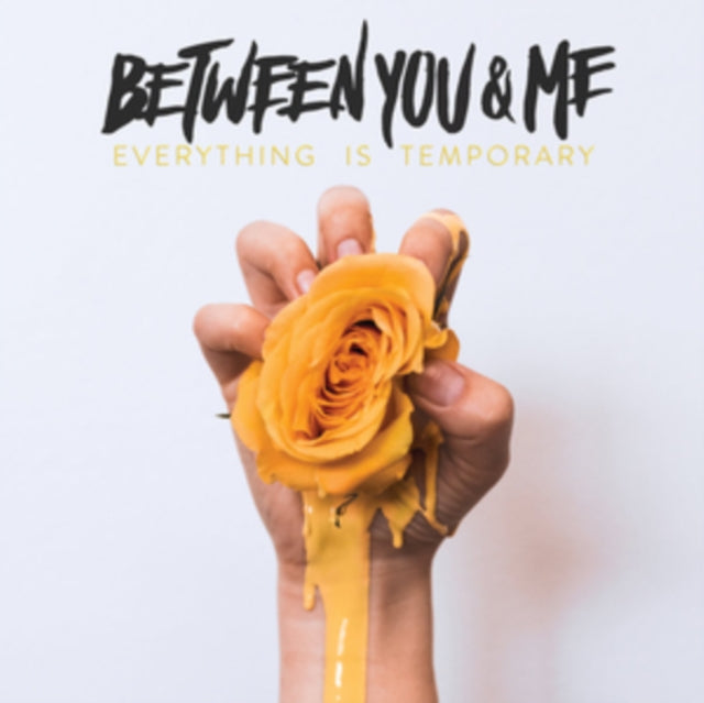 Between You & Me 'Everything Is Temporary' Vinyl Record LP