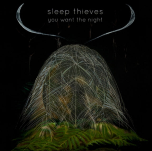 Sleep Thieves 'You Want The Night' Vinyl Record LP