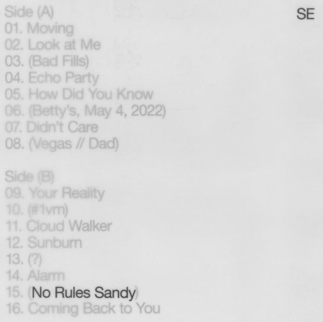 Sylvan Esso 'No Rules Sandy' Vinyl Record LP - Sentinel Vinyl