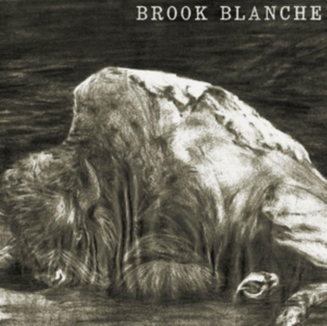 Blanche, Brook 'Brook Blanche' Vinyl Record LP