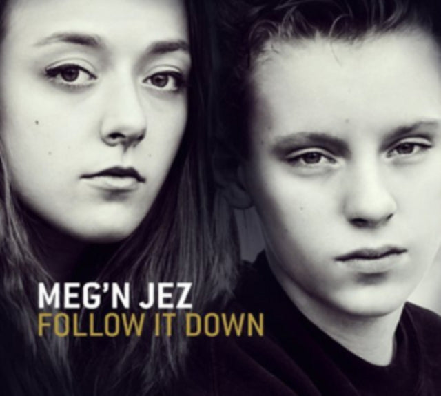 Meg'N Jez 'Follow It Down' Vinyl Record LP