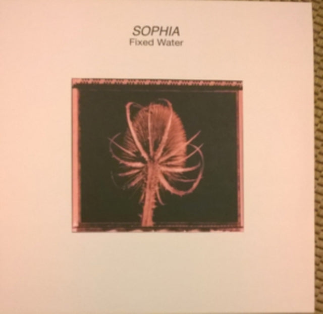 Sophia 'Fixed Water' Vinyl Record LP