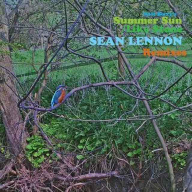 Berry, Matt 'Summer Sun / Like Stone (Sean Ono Lennon Remixes)' Vinyl Record LP