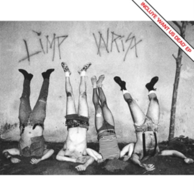 Limp Wrist 'Limp Wrist' Vinyl Record LP