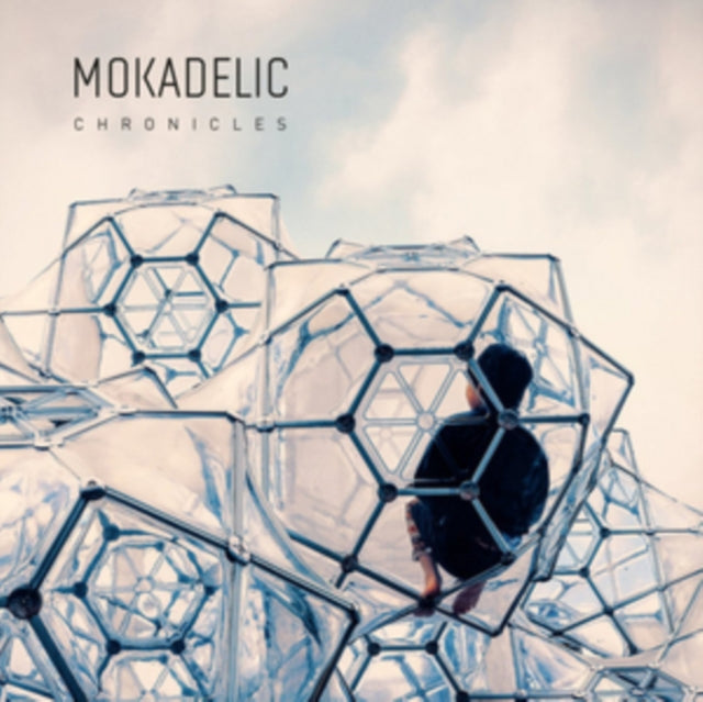 Mokadelic 'Chronicles' Vinyl Record LP