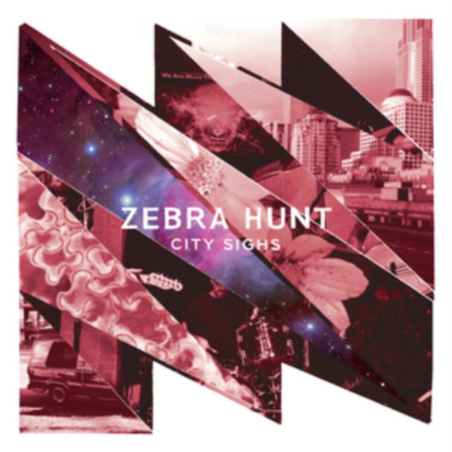 Zebra Hunt 'City Sighs' Vinyl Record LP