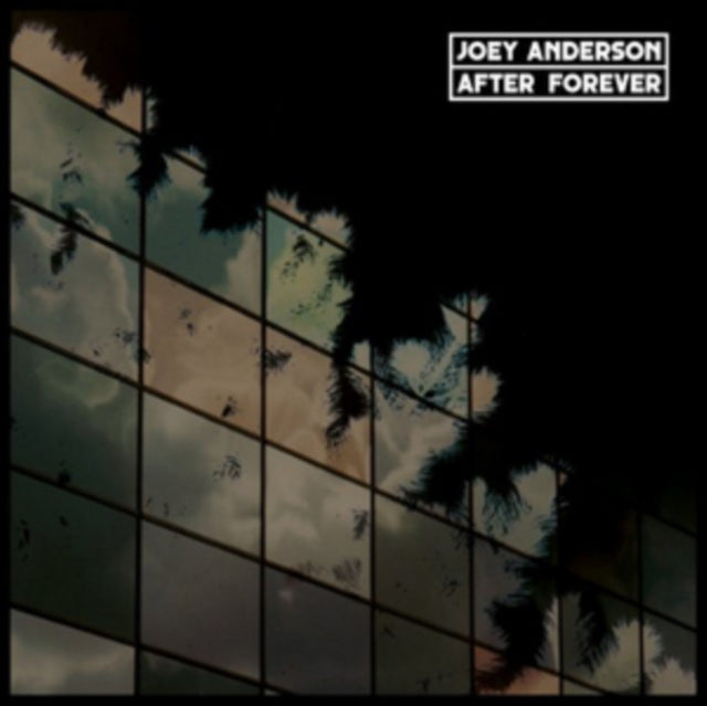 Anderson, Joey 'After Forever (2Lp)' Vinyl Record LP