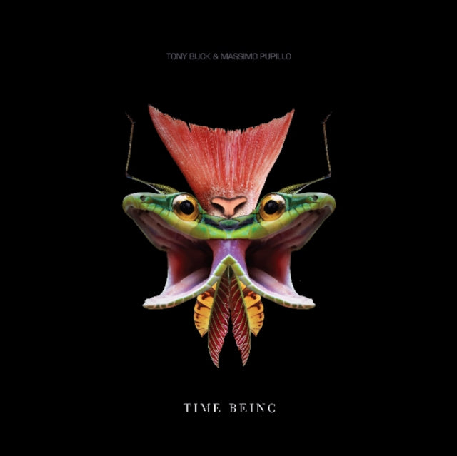 Buck & Massimo Pupillotony 'Time Being' Vinyl Record LP - Sentinel Vinyl